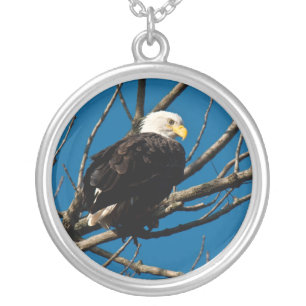 Collar Plateado Eagle Nekclace