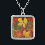 Collar Plateado Foliage de otoño<br><div class="desc">Colección colorida de follaje otoñal. Una variedad de hojas que cambian de color durante el otoño.</div>