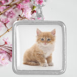 Collar Plateado Foto de Cute Naranja Kitten<br><div class="desc">Muestra tu amor por los peludos amigos con este adorable collar personalizado con una dulce foto de gatito naranja. Enmarcada en un brillante marco plateado con una cadena a juego, esta encantadora pieza es un regalo perfecto para los amantes del gato, las madres mascotas o cualquier persona que adora a...</div>