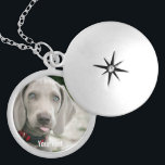 Collar Plateado Foto de perro y nombre de perro de Weimaraner pers<br><div class="desc">El diseño personalizado de Weimaraner Dog Photo y Weimaraner Dog Name incluye una foto subida de tu Weimaraner (o cualquier foto) con el nombre del perro o agrega tu propio texto - Nos encanta el "nombre del perro", el cumpleaños del perro o el día de su muerte. Simplemente haga clic...</div>