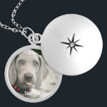Collar Plateado Foto de perro y nombre de perro de Weimaraner pers<br><div class="desc">El diseño personalizado de Weimaraner Dog Photo y Weimaraner Dog Name incluye una foto subida de tu Weimaraner (o cualquier foto) con el nombre del perro o agrega tu propio texto - Nos encanta el "nombre del perro", el cumpleaños del perro o el día de su muerte. Simplemente haga clic...</div>