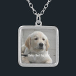 Collar Plateado Foto y nombre del perro recuperador de oro persona<br><div class="desc">Personalice este conservador de perro con la foto y el nombre de su perro o cachorro (u otra foto/nombre de otro mascota o persona). El texto dice "Mejor perro nunca" o agrega tu propio texto - Amamos a Daisy (el nombre de tu perro), el cumpleaños del perro o el día...</div>