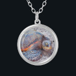 Collar Plateado Homenaje a la tortuga marina de Hawái Foto Simple<br><div class="desc">Las tortugas marinas saben cómo relajarse bajo el sol. Volvamos a las cálidas brisas de las Islas Hawái cuando vistes este lindo y elegante collar de encanto fotográfico de un primer plano de una tortuga marina "honu" hawaiana. Este collar se presenta en pequeños, medianos y grandes tamaños, así como en...</div>