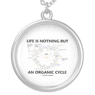 Collar Plateado La vida no es nada sino un ciclo orgánico (el