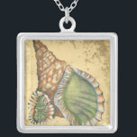 Collar Plateado Marrón y verde<br><div class="desc">Si no puedes llegar a la playa hoy mismo, ten en cuenta esta imagen clásica de esta única y única concha verde y marrón. Esta concha junto al océano está rodeada de arena cálida en este cuadro y es ideal para los productos náuticos.</div>