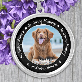 Collar Plateado Memorial mascota en la foto de perro Personalizado