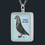 Collar Plateado Mostrar Racer ASR<br><div class="desc">Este Show Racer muestra cómo se ve un verificador oscuro típico. ¡Qué paloma tan guapa!</div>