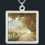 Collar Plateado Otoño en una carretera rural<br><div class="desc">Decoración del hogar</div>