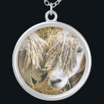 COLLAR PLATEADO OVEJAS<br><div class="desc">Dos hermosas ovejas de Cotswold capturadas fotográficamente en un momento gracioso y humorístico conversando. Los ovinos de algodón proceden de los Cotswolds de Inglaterra y son criados por su lana y su carne. Tienen pulgas largas con un matiz casi dorado.</div>