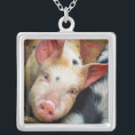 COLLAR PLATEADO PIGS<br><div class="desc">¡Este lindo cerdito solo quiere decir "Hola"! Reino Unido. com</div>