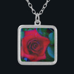 Collar Plateado Roses rojos con tonos azules<br><div class="desc">Roses rojos con tonos azules Rojo Rosa Lovely color rojo rosa fondo leído para personalizar con tu texto. Genial para cualquier amante rosa. Foto de Sandy Closs, tomada en Lake Arrowhead. "rosa roja" "rosas rojas" "rosa rosada" "rosas rosas rosas rosas" "bodas" "regalo de amor" "flor roja" "flores rojas" "rosas de...</div>