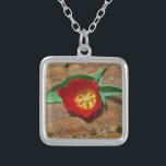 Collar Plateado Tulip rojo primavera<br><div class="desc">Tulipán rojo primavera,  contra una roca marrón en el lago Arrowhead. Foto de Sandy Closs. Pascua,  flores,  flores rojas,  primavera,  valentina,  valentinas,  boda,  bodas,  San Valentín</div>