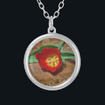Collar Plateado Tulip rojo primavera<br><div class="desc">Tulipán rojo primavera,  contra una roca marrón en el lago Arrowhead. Foto de Sandy Closs. Pascua,  flores,  flores rojas,  primavera,  valentina,  valentinas,  boda,  bodas,  San Valentín</div>