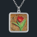 Collar Plateado Tulipán amarillo y rojo<br><div class="desc">Tulipán rojo primavera,  contra una roca marrón en el lago Arrowhead. Foto de Sandy Closs. Pascua,  flores,  flores rojas,  primavera,  valentina,  valentinas,  boda,  bodas,  San Valentín</div>