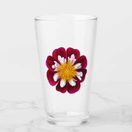 Collarette roja y blanca Dahlia Beber Floral