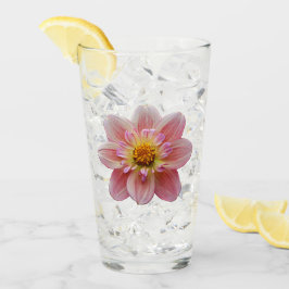 Collarette rosa Dahlia Bloom Floral