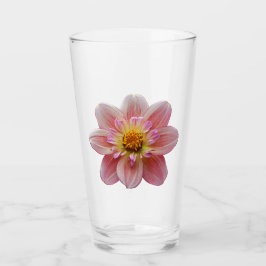 Collarette rosa Dahlia Bloom Floral