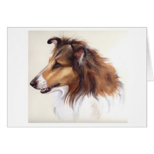 Collie áspero pintado en Acuarela