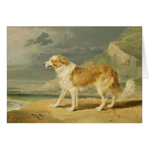 collie Áspero-revestido, 1809 (aceite a bordo)