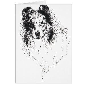 Collie azul áspero de Merle