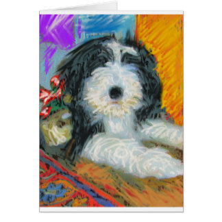 Collie barbudo
