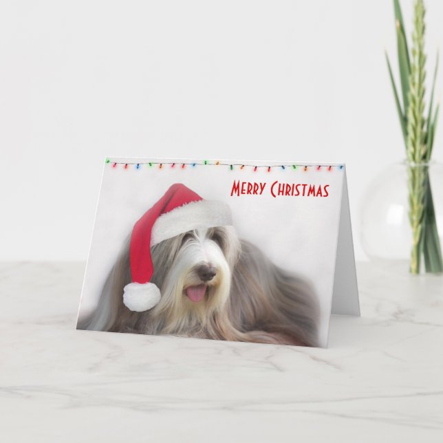 Collie barbudo de las Felices Navidad (Anverso)