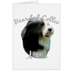 Collie Bearded Mom 2