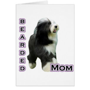 Collie Beared Mom 4