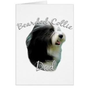 Collie Dad 2