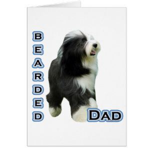 Collie Dad 4
