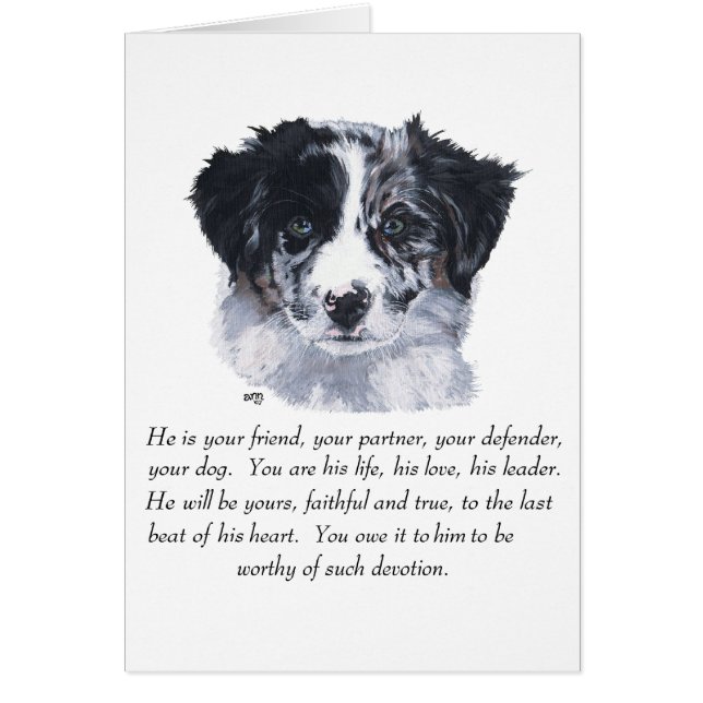 Collie de borde Keepsakes (Frente)