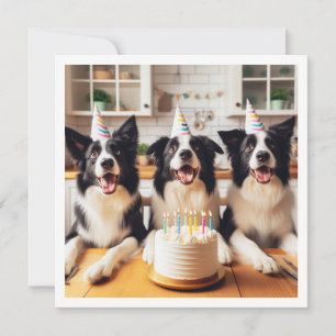 Collie de borde, tarjeta de cumpleaños de perro, p