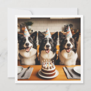 Collie de borde, tarjeta de cumpleaños de perro, p