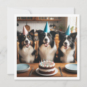 Collie de borde, tarjeta de cumpleaños de perro, p