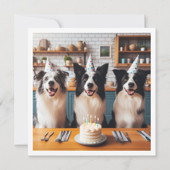 Collie de borde, tarjeta de cumpleaños de perro, p (Anverso)