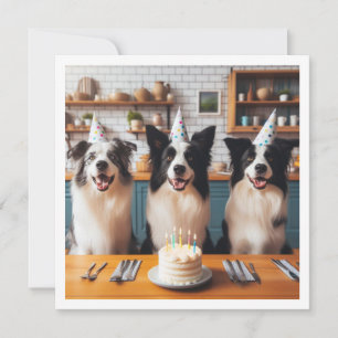 Collie de borde, tarjeta de cumpleaños de perro, p