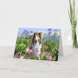 Collie en tarjeta de las flores