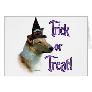 Collie (estable, suave) Trick