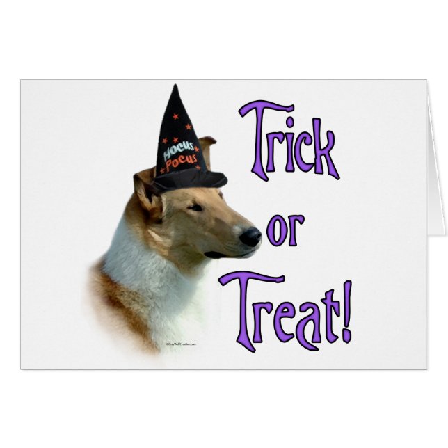 Collie (estable, suave) Trick (Anverso (Horizontal))