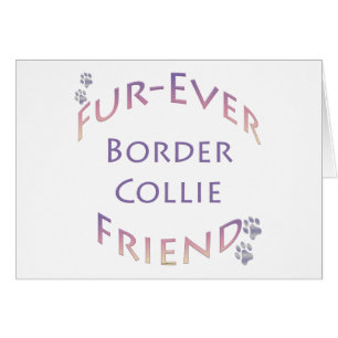 Collie Furever de borde