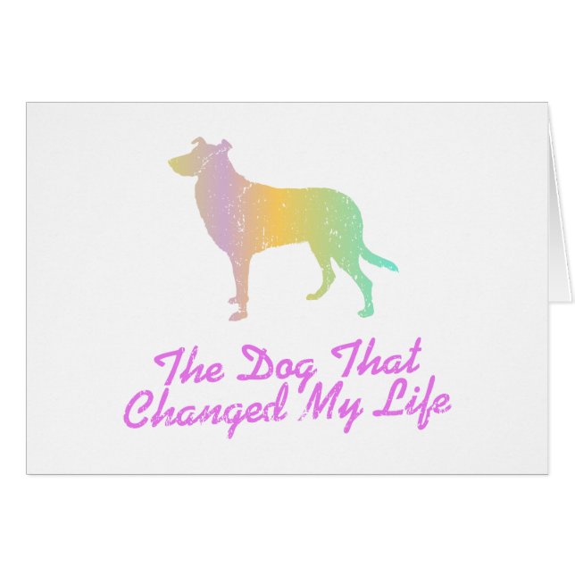 Collie liso (Anverso (Horizontal))