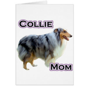 Collie Mom 4