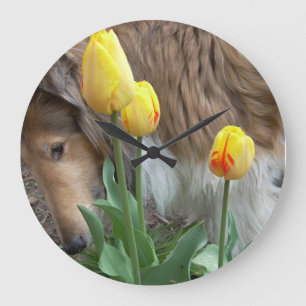 Collie N el reloj de pared de los tulipanes