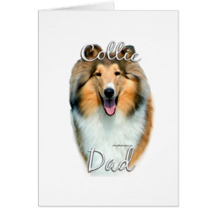 Collie (rudo) Dad 2