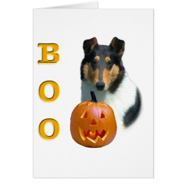 Collie (suave) Boo (Frente)