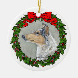 Collie suave, Merle azul, ornamento