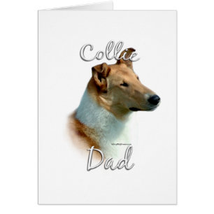 Collie (suave) papá 2