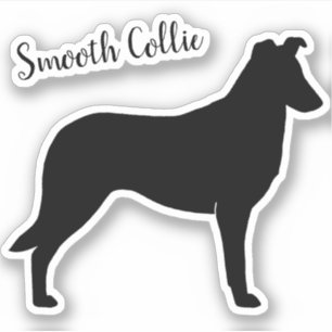 Collie suave Silhouette Perro Raza Vinyl Pegatina