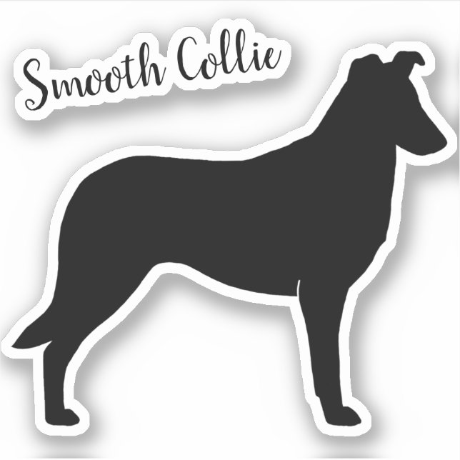 Collie suave Silhouette Perro Raza Vinyl Pegatina (Anverso)