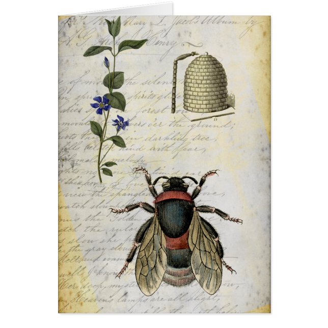 Colmena de la flor de la abeja (Frente)